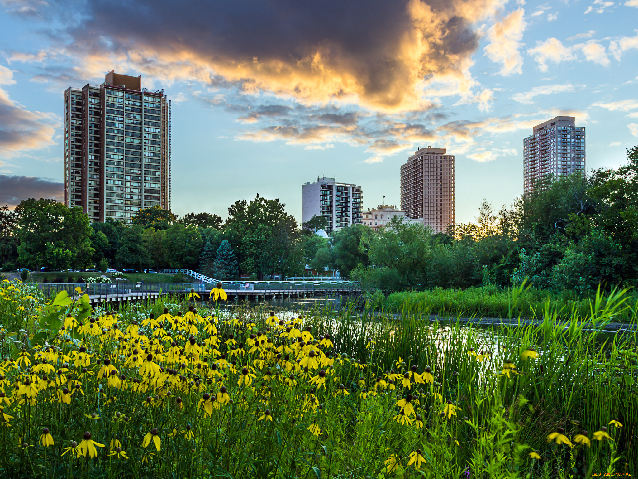 lincoln park, ,  , , , , 